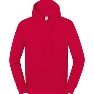 Iconic 250 Hooded Sweat, miniatyr 3